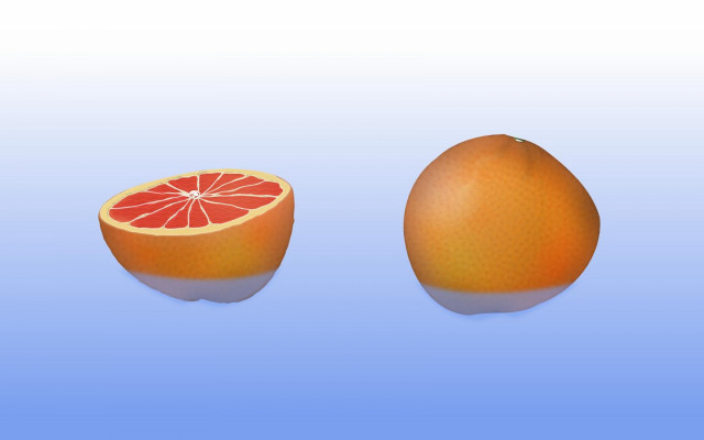 Grapefruit cut half blue background free wallpaper for desktop - medium preview image