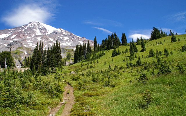 Trail meadow mountain trees blue free wallpaper for desktop - medium preview image
