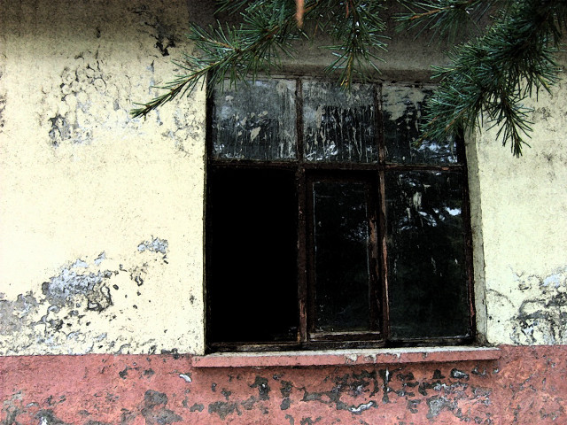 Window pine branch red wall free wallpaper for desktop - medium preview image