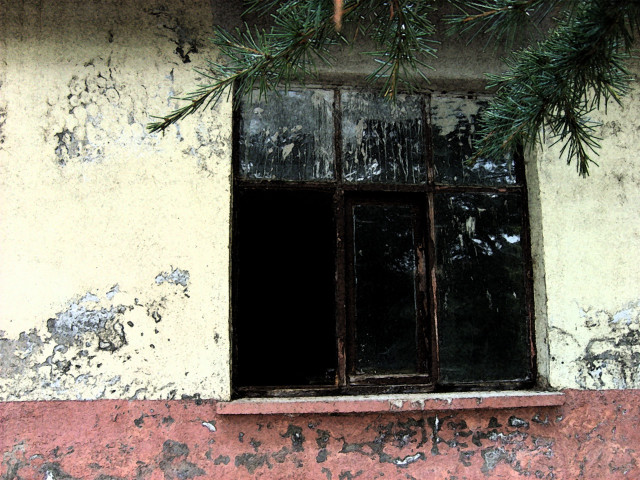 Window pine branch red wall #4 free wallpaper for desktop - medium preview image