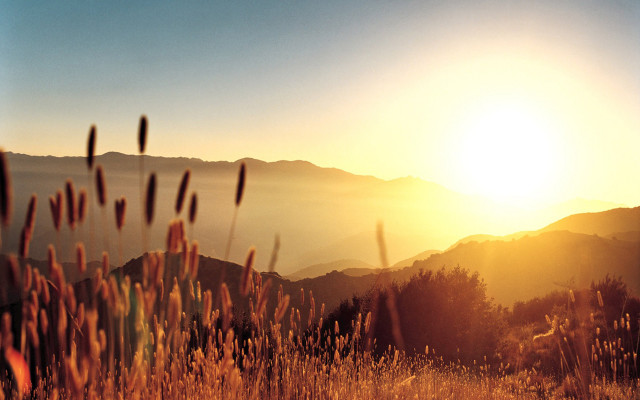 Field bird flying sunset mountains free wallpaper for desktop - medium preview image