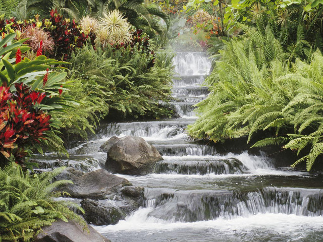 Stream lush vegetation flowers garden free wallpaper for desktop - medium preview image
