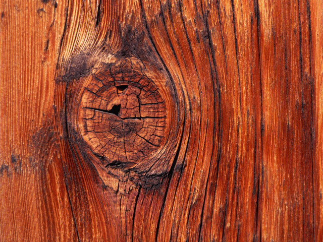 Wood texture hole middle nature #2 free wallpaper for desktop - medium preview image