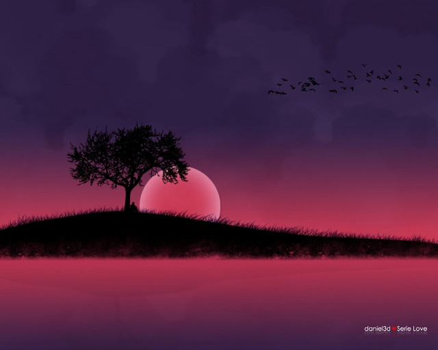 Tree hill sunset birds flying free wallpaper for desktop - medium preview image