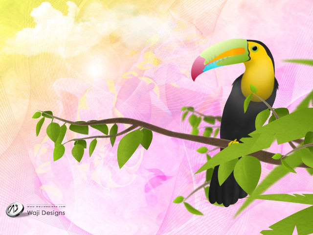 Colorful bird perched branch tree #7 free wallpaper for desktop - medium preview image