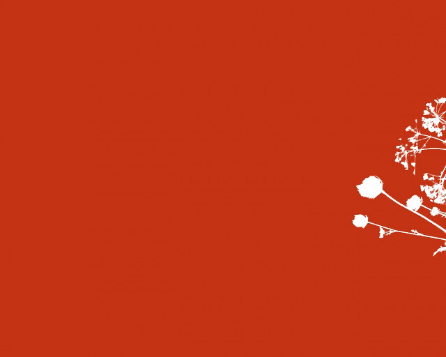 White tree red background bird free wallpaper for desktop - medium preview image