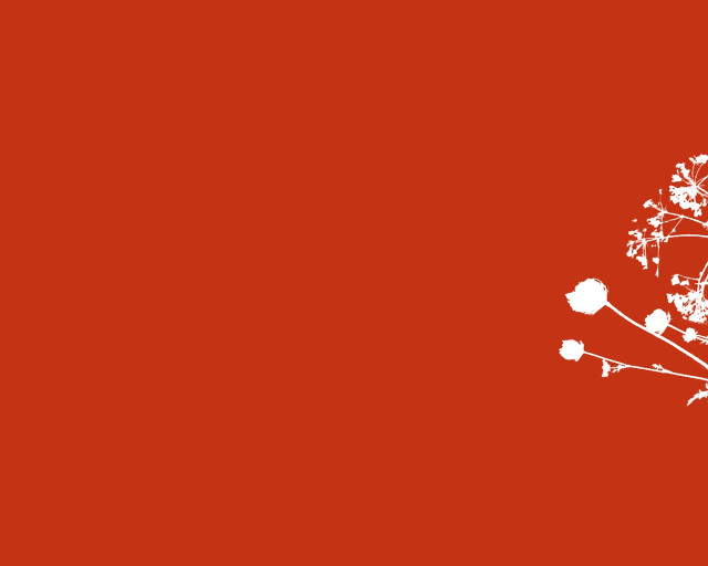 White tree red background white #2 free wallpaper for desktop - medium preview image