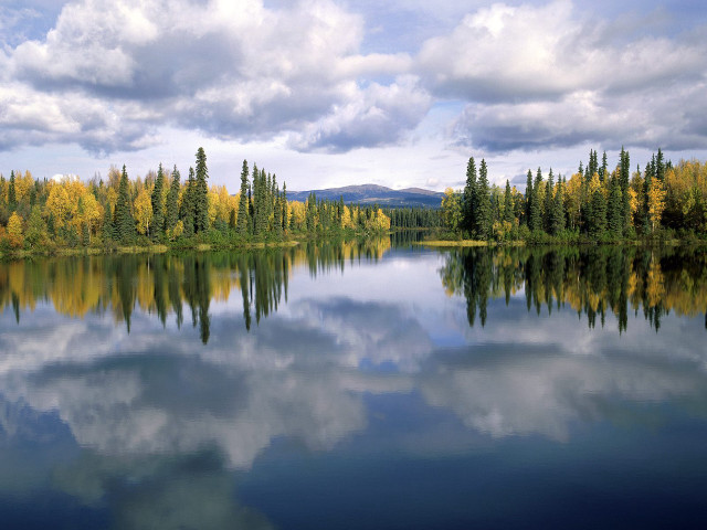 Lake trees clouds forest background #2 free wallpaper for desktop - medium preview image