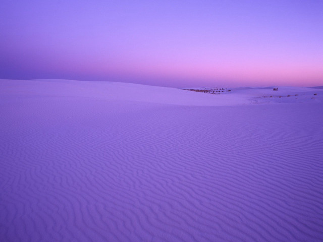 Purple sky sand dunes trees #3 free wallpaper for desktop - medium preview image