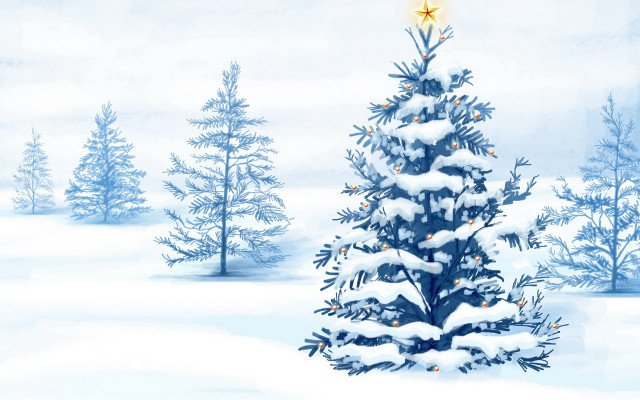 Christmas tree snow blue sky #4 free wallpaper for desktop - medium preview image