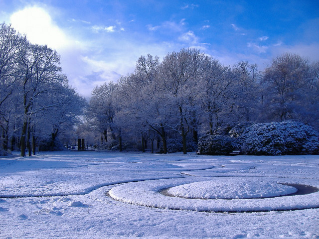 Circular snow path park trees #2 free wallpaper for desktop - medium preview image
