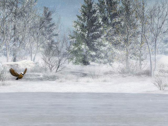 Snowy landscape bird flying snow free wallpaper for desktop - medium preview image