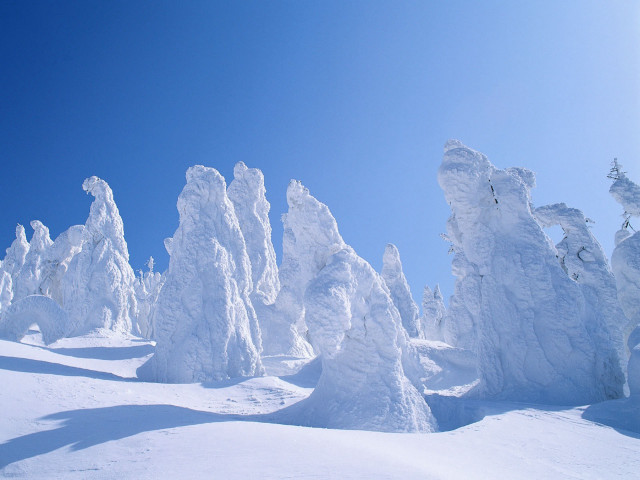 Snowboarder hill snow trees bushes free wallpaper for desktop - medium preview image