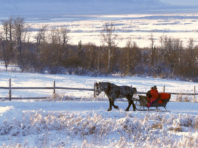 Horse carriage winter snowy field free wallpaper for desktop - medium preview image