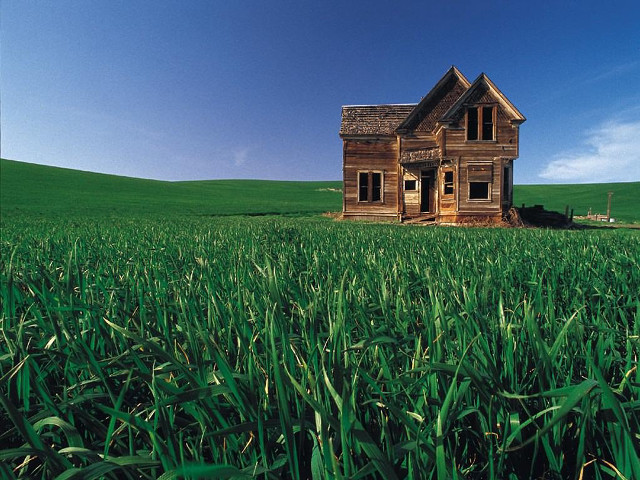 House field grass blue sky free wallpaper for desktop - medium preview image