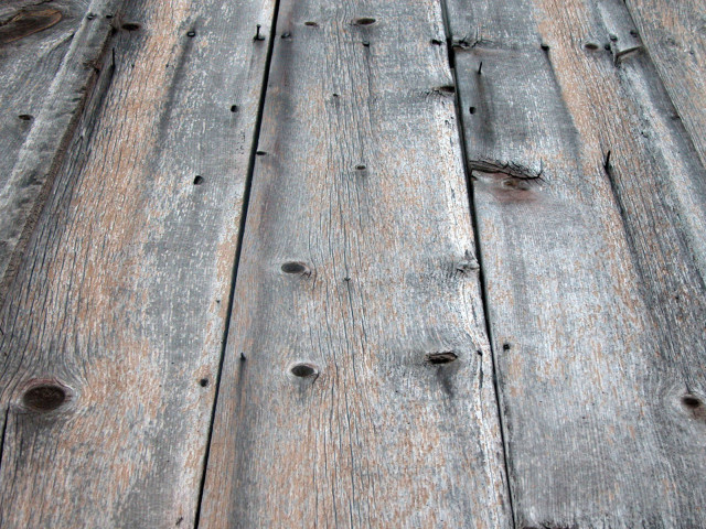 Wooden surface nails bird close free wallpaper for desktop - medium preview image