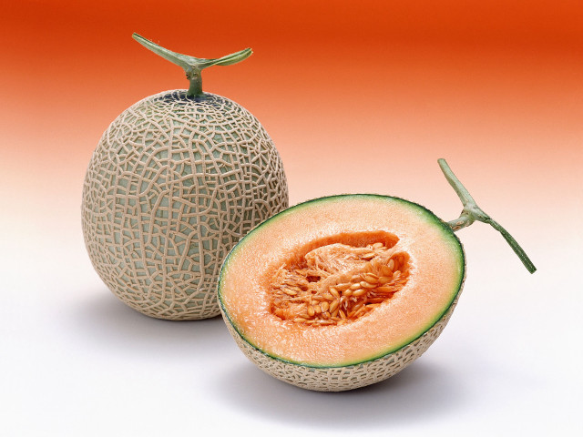 Melon cut half whole background #3 free wallpaper for desktop - medium preview image