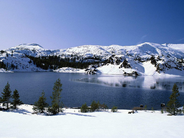 Lake snow mountains trees blue #3 free wallpaper for desktop - medium preview image