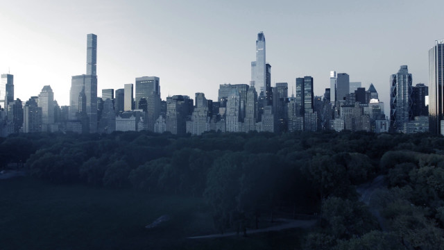 City skyline trees park matte free wallpaper for desktop - medium preview image