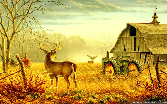 Deer tractor field barn tree #2 free wallpaper for desktop - medium preview image