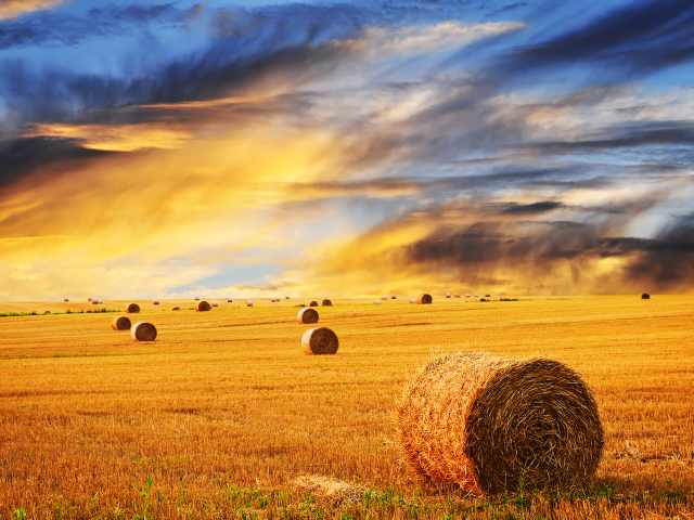Hay bales cloudy sky sunset free wallpaper for desktop - medium preview image