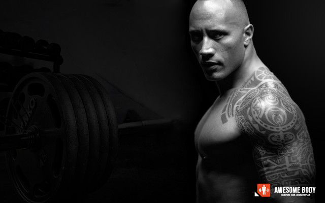 Anthony palumbo tattooed man barbell free wallpaper for desktop - medium preview image