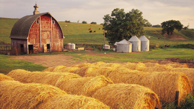 Barn hayfield silos cows fall free wallpaper for desktop - medium preview image