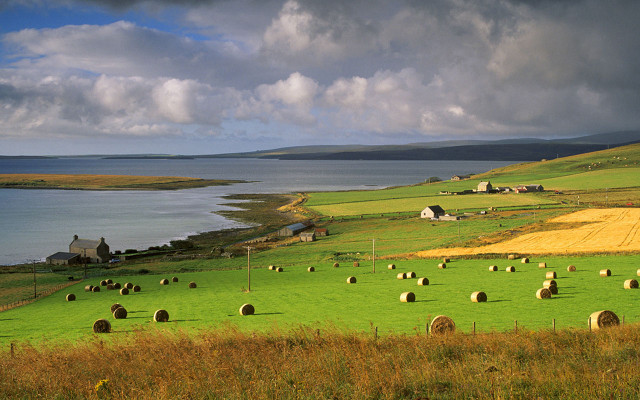Hayfield lake houses panoramic cloudy free wallpaper for desktop - medium preview image