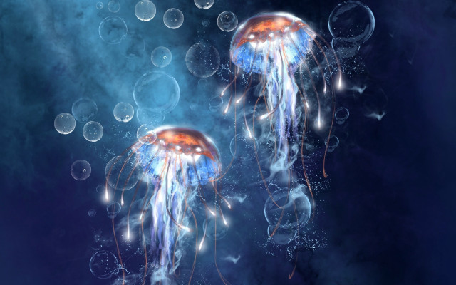 Jellyfish floating water bubbles blue free wallpaper for desktop - medium preview image