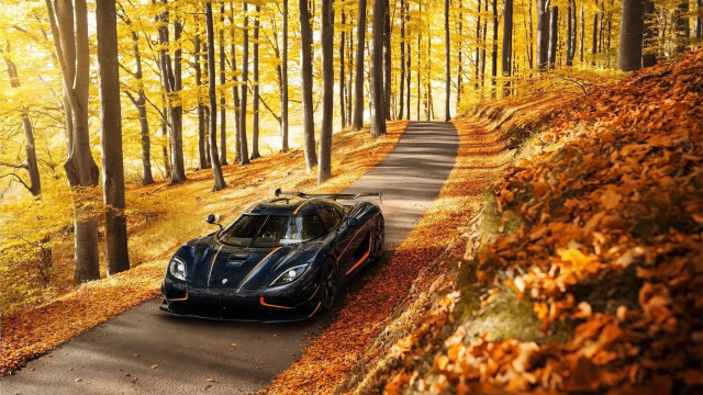 Black sports car autumn leaves #5 free wallpaper for desktop - medium preview image