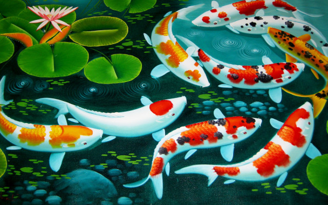 Pond koi fish lily pads free wallpaper for desktop - medium preview image
