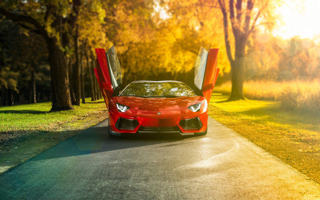 Red sports car open doors #9 free wallpaper for desktop - medium preview image