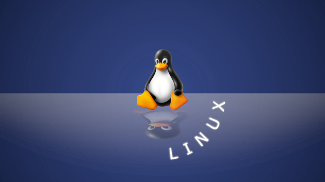 Linux bernd fasching blackbird computer free wallpaper for desktop - medium preview image