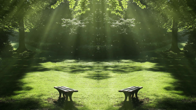 Holographic park bench nature starry free wallpaper for desktop - medium preview image