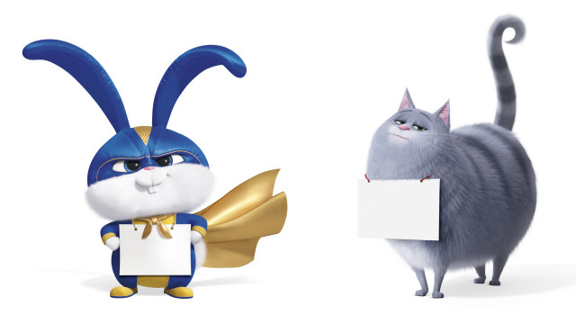 Cat bunny holding sign together free wallpaper for desktop - medium preview image