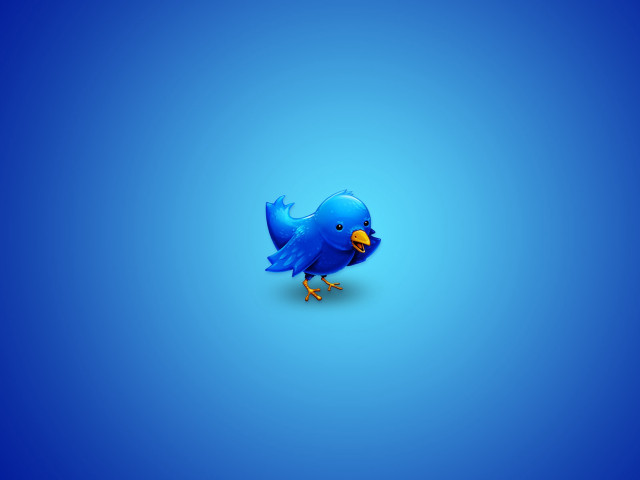 Blue bird outdoors penguin sky free wallpaper for desktop - medium preview image