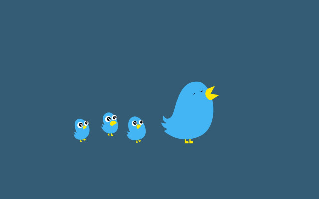 Blue birds yellow beaks blue free wallpaper for desktop - medium preview image
