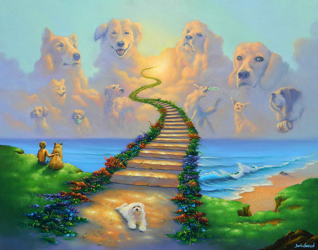 Stairway dogs beach sky clouds free wallpaper for desktop - medium preview image
