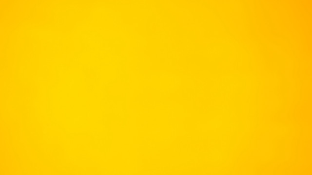 Yellow background black white cat #4 free wallpaper for desktop - medium preview image