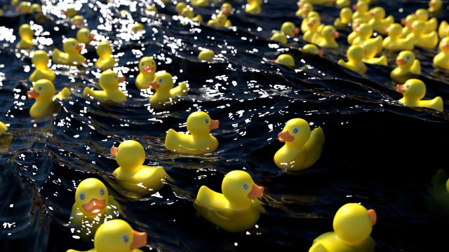 Rubber ducks floating water row free wallpaper for desktop - medium preview image
