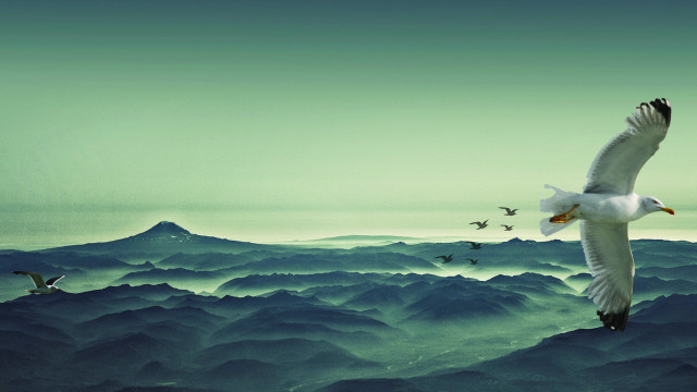 Birds mountains sky green flock free wallpaper for desktop - medium preview image