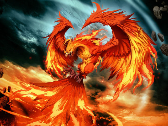 Bird orange wings fireball sky free wallpaper for desktop - medium preview image