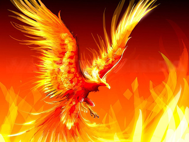Yellow wings bird flying fire free wallpaper for desktop - medium preview image