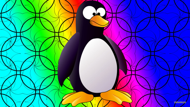 Penguin rainbow background blue circle free wallpaper for desktop - medium preview image