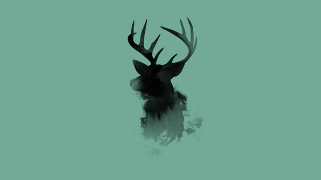 Deer head antlers green background free wallpaper for desktop - medium preview image