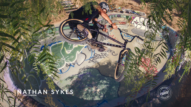 Man bike graffiti ramp plants free wallpaper for desktop - medium preview image