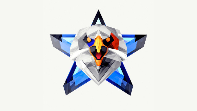 Stylized bird star background head free wallpaper for desktop - medium preview image