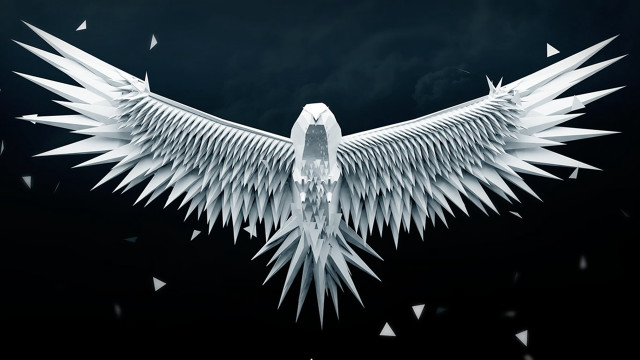 White bird wings spread out free wallpaper for desktop - medium preview image