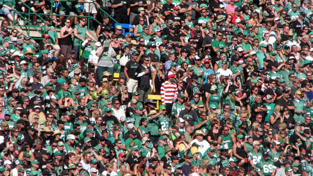 Stadium crowd green white frisbee free wallpaper for desktop - medium preview image