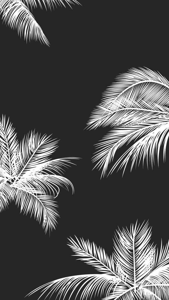 Black white palm trees ambient free wallpaper for mobile - medium preview image